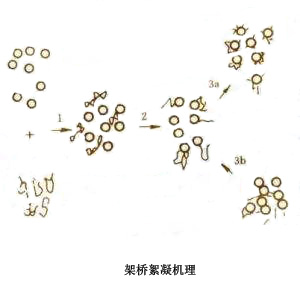 自來(lái)水廠凈水過(guò)程中加入絮凝劑的作用是什么?